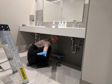 Image for Red Deer Cleaning Services Ltd. with ID of: 6818321