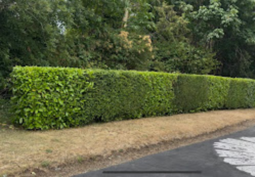 Image for Dorman's Landscaping & Labour with ID of: 6819211
