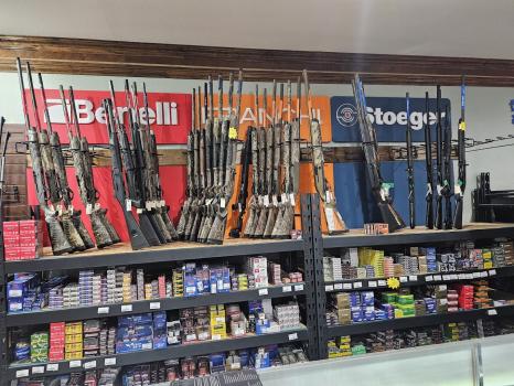 Image for Bear Arms with ID of: 6820751