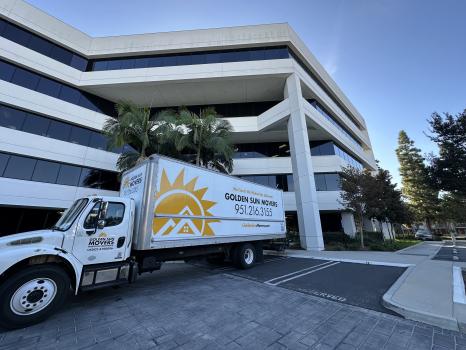 Image for Golden Sun Movers with ID of: 6820905