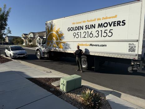 Image for Golden Sun Movers with ID of: 6820911