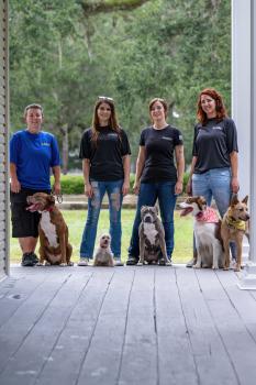 Image for Off Leash K9 Training 30A with ID of: 6822840