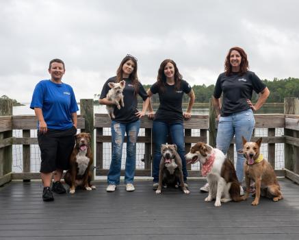 Image for Off Leash K9 Training 30A with ID of: 6822842