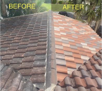 Image for Florida Clean Roof with ID of: 6823064