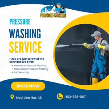 Image for Paul's Pressure Washing (A&P Gray) with ID of: 6823156