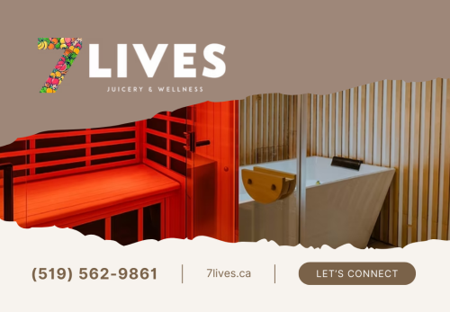 Image for 7 LIVES with ID of: 6823465