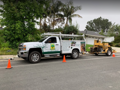 Image for JLG Tree Service - Tree Removal OC with ID of: 6825385