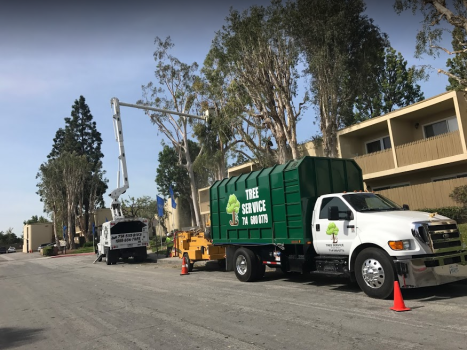 Image for JLG Tree Service - Tree Removal OC with ID of: 6825395