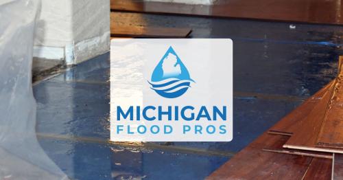 Image for Michigan Flood Pros with ID of: 6825886