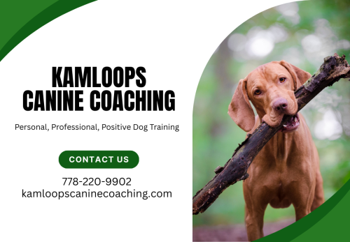 Image for Kamloops Canine Coaching with ID of: 6830015