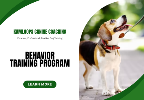 Image for Kamloops Canine Coaching with ID of: 6830016