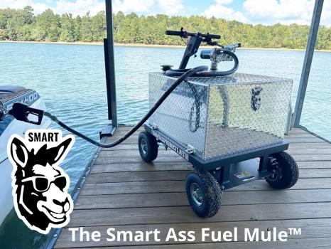 Image for Smart Ass Products, LLC with ID of: 6830589