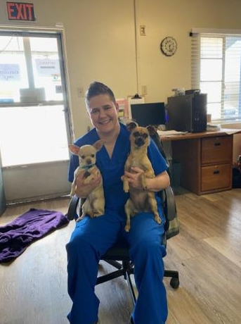Image for Desert Rose Animal Hospital with ID of: 6833093