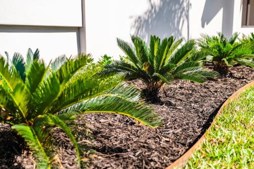 Image for Perfect Cut Landscaping with ID of: 6833973