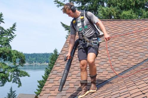 Image for AA Window, Roof & Gutter Cleaning with ID of: 6834201