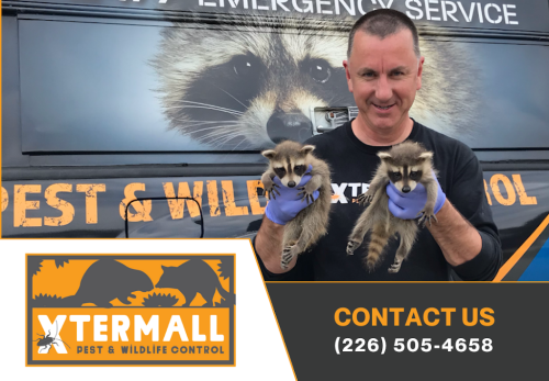 Image for Xtermall Pest & Wildlife Control with ID of: 6834303