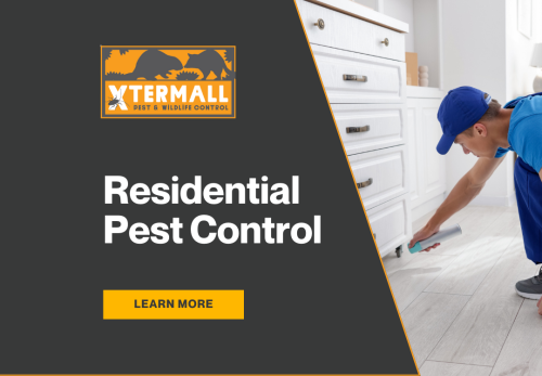 Image for Xtermall Pest & Wildlife Control with ID of: 6834305