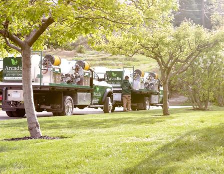 Image for Arcadia Tree & Lawn Care with ID of: 6834455