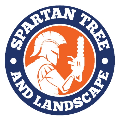 Image for Spartan Tree and Landscape with ID of: 6942503