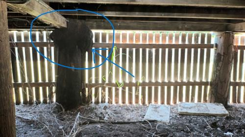 Image for Inspect My Home Brisbane with ID of: 6834816