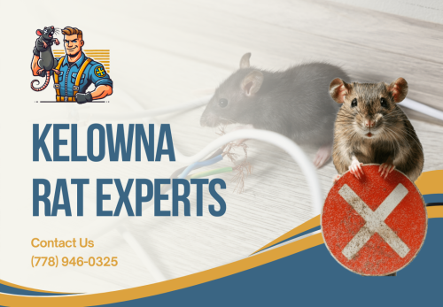 Image for Kelowna Rat Experts with ID of: 6835203