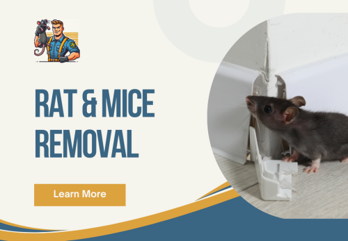 Image for Kelowna Rat Experts with ID of: 6835205