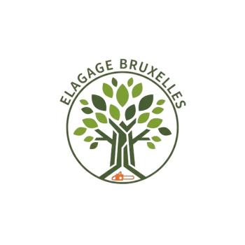 Image for Élagage Bruxelles – Entretien & Abattage d’Arbres with ID of: 6942761