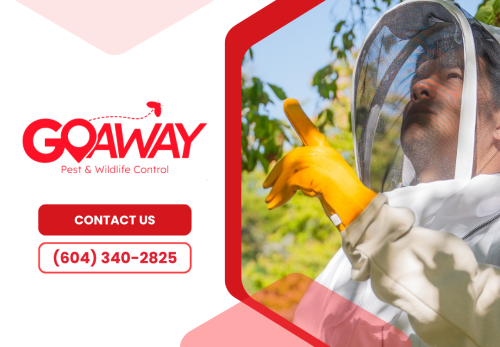 Image for Go Away Pest Control with ID of: 6835902