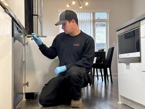 Image for Go Away Pest Control with ID of: 6835904
