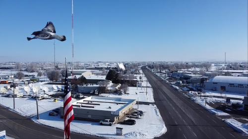 Image for A+ Idaho Bail Bonds with ID of: 6836188