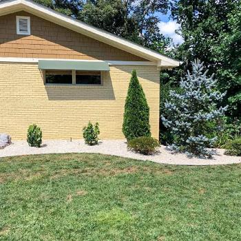 Image for Black Bear Lawn Care & Landscaping with ID of: 6837021