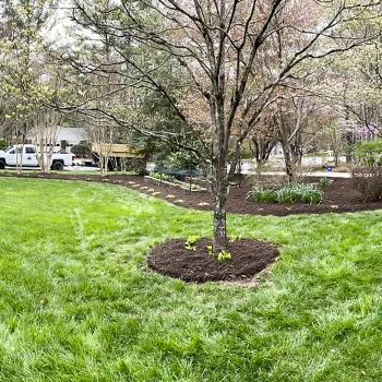 Image for Black Bear Lawn Care & Landscaping with ID of: 6837028