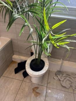 Image for TW8 Drainage with ID of: 6837317