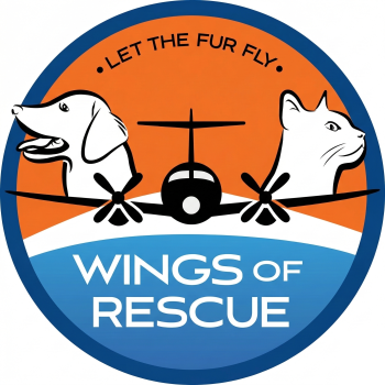 Image for Wings of Rescue with ID of: 6945239