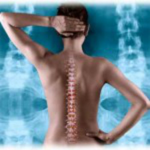 Image for Queen Anne Chiropractic Center with ID of: 694634
