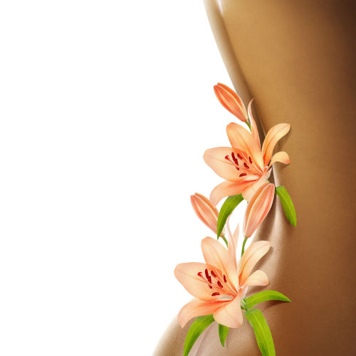 Image for Queen Anne Chiropractic Center with ID of: 694635