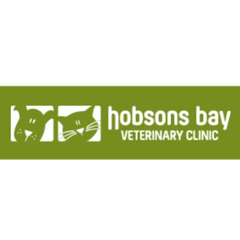 Image for Hobsons Bay Veterinary Clinic with ID of: 6946630