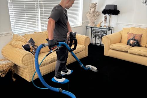 Image for Clean & Fresh Carpets with ID of: 6840096