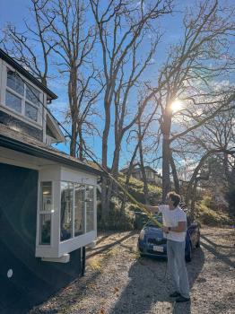 Image for Winning Window Cleaning with ID of: 6840883