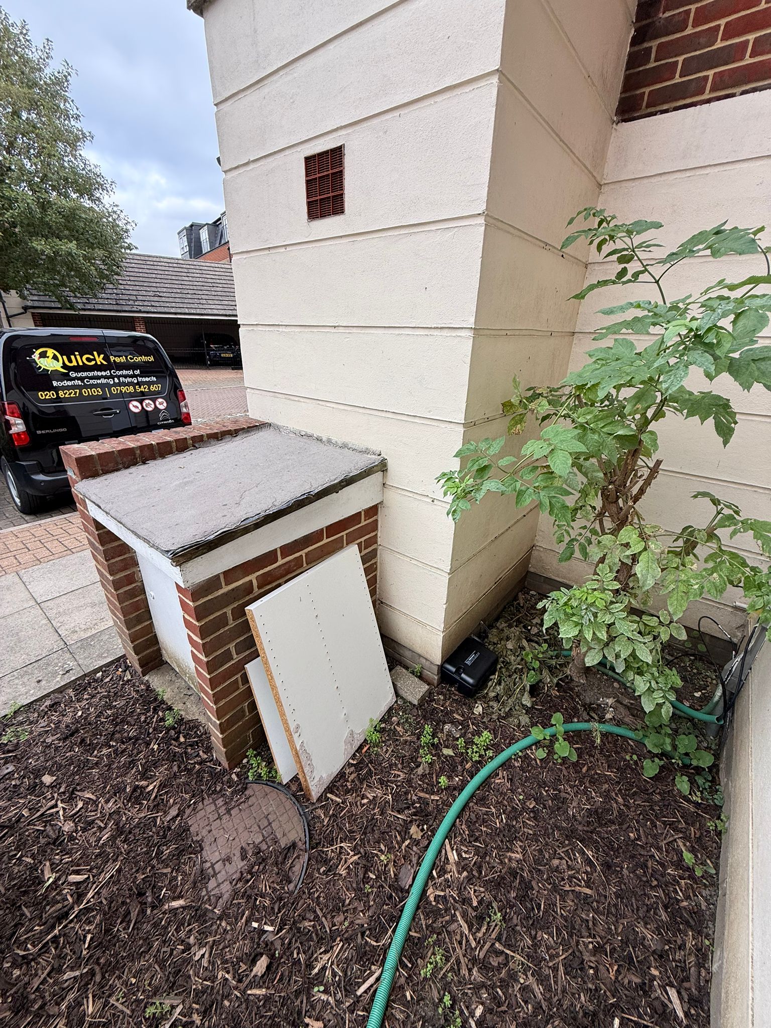 Image for Quick Pest Control with ID of: 6841464
