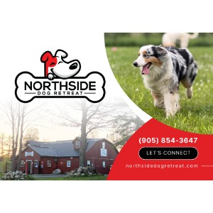 Image for Northside Dog Retreat with ID of: 6842088