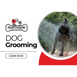 Image for Northside Dog Retreat with ID of: 6842093