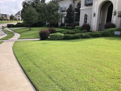 Image for CitiTurf with ID of: 6842757