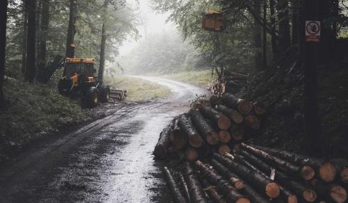 Image for Santiam Tree Service with ID of: 6842851