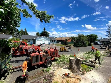 Image for Santiam Tree Service with ID of: 6842852
