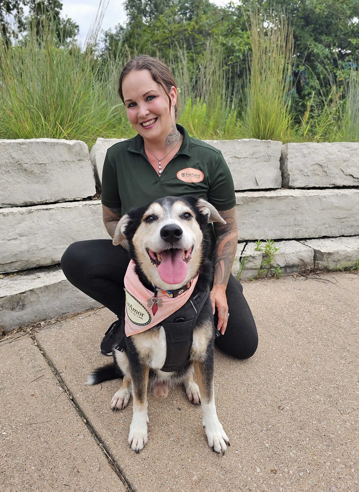 Image for FurAmor - Wheaton with ID of: 6842958