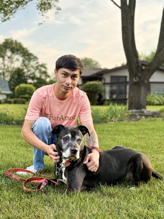 Image for FurAmor - Wheaton with ID of: 6842963