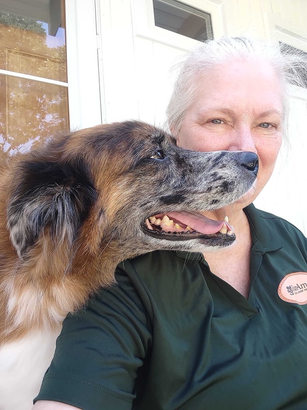 Image for FurAmor - Fox Valley with ID of: 6843383
