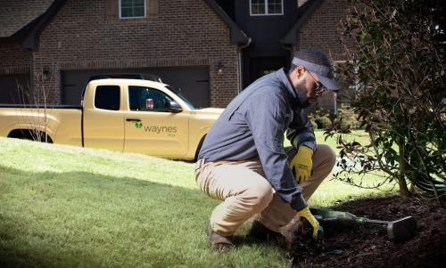 Image for Waynes Pest Control with ID of: 6844898