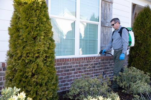 Image for Waynes Pest Control with ID of: 6844900